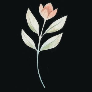 Meet your Posher, Cameron